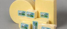 Производство на млечни продукти в Ямбол - Сакарела ООД Производство на млечни продукти в Ямбол - Сакарела ООД