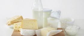 Производство на млечни продукти във Враца - Млечни продукти Враца Производство на млечни продукти във Враца - Млечни продукти Враца