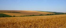 Производство селскостопанска продукция в Завет и Разград - ССОЗ Клас ООД Производство селскостопанска продукция в Завет и Разград - ССОЗ Клас ООД