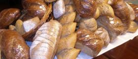 Производство закуски - МОЛТЕН ХРИСТОВ И СИЕ 