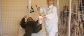 Рехабилитация в Слънчев бряг-Несебър - СБР Стайков и фамилия ЕООД Рехабилитация в Слънчев бряг-Несебър - СБР Стайков и фамилия ЕООД
