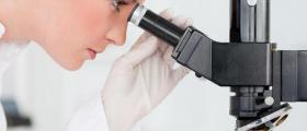 Специалист по лабораторна медицина в Пловдив Специалист по лабораторна медицина в Пловдив