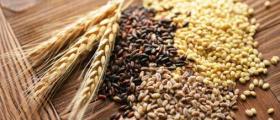 Търговия селскостопанска продукция в Търговище Търговия селскостопанска продукция в Търговище