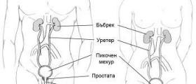 Уретроцистоскопия в град Благоевград - Уролог Благоевград Уретроцистоскопия в град Благоевград - Уролог Благоевград