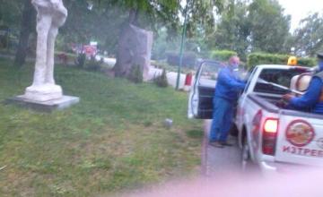 Дератизация в област Пазарджик Дератизация в област Пазарджик