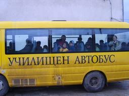 Образование