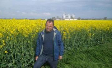 Отглеждане рапица в Добрич - Агроевроплант ЕООД