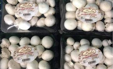 Продажба култивирани печурки в Първенец-Родопи Продажба култивирани печурки в Първенец-Родопи