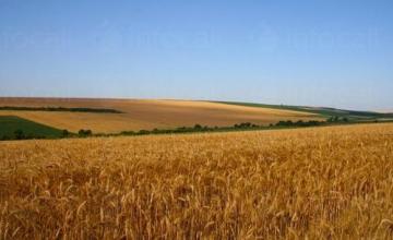 Производство селскостопанска продукция в Завет и Разград - ССОЗ Клас ООД