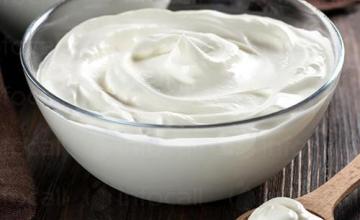 Търговия млечни продукти в Ямбол - Български Йогурт