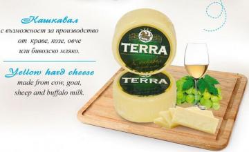 Търговия млечни продукти в Севлиево - ДЕАРИ ФУУД БЪЛГАРИЯ АД