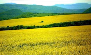Търговия селскостопанска продукция в Стара Загора