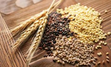 Търговия селскостопанска продукция в Търговище