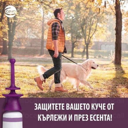 Обезпаразитяване животни София-Люлин - VET STAR Clinic Обезпаразитяване животни София-Люлин - VET STAR Clinic