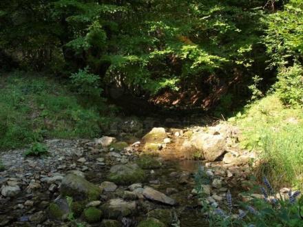 Отдих в планината в Шипково-Троян - Вила Боровец Отдих в планината в Шипково-Троян - Вила Боровец