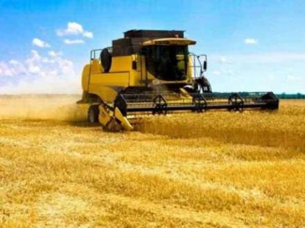 Покупко-продажба земеделска земя Североизточна България - Земеделска земя Попово Покупко-продажба земеделска земя Североизточна България - Земеделска земя Попово