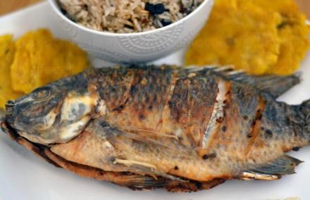 Продажба на пържена и печена риба в София - Жива риба София
