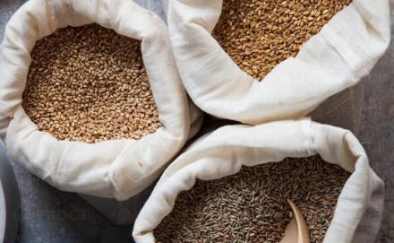 Търговия със селскостопанска продукция в Нови Пазар - Агрострой ЕООД
